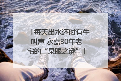 每天出水还时有牛叫声 永嘉30年老宅的“泉眼之谜”