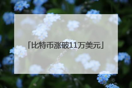 比特币涨破11万美元
