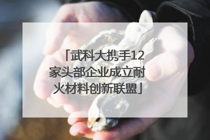 武科大携手12家头部企业成立耐火材料创新联盟