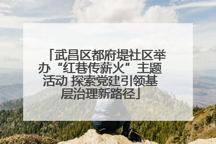 武昌区都府堤社区举办“红巷传薪火”主题活动 探索党建引领基层治理新路径