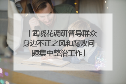 武晓花调研督导群众身边不正之风和腐败问题集中整治工作