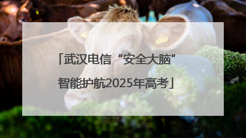 武汉电信“安全大脑” 智能护航2025年高考