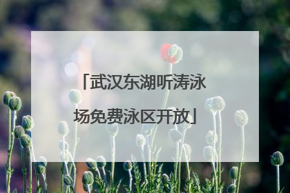 武汉东湖听涛泳场免费泳区开放
