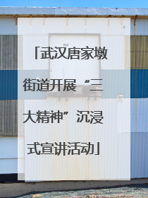 武汉唐家墩街道开展“三大精神”沉浸式宣讲活动