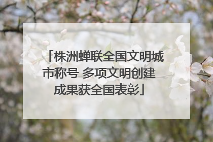 株洲蝉联全国文明城市称号 多项文明创建成果获全国表彰