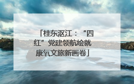 桂东沤江：“四红”党建领航绘就康氧文旅新画卷