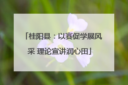 桂阳县：以赛促学展风采 理论宣讲润心田