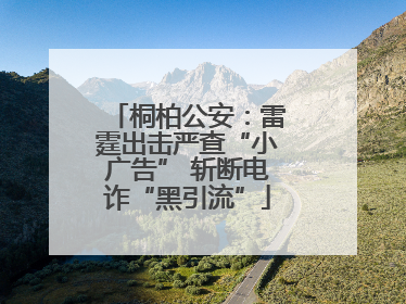 桐柏公安：雷霆出击严查“小广告” 斩断电诈“黑引流”