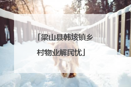 梁山县韩垓镇乡村物业解民忧