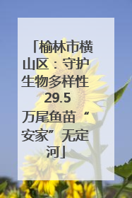 榆林市横山区：守护生物多样性 29.5万尾鱼苗“安家”无定河