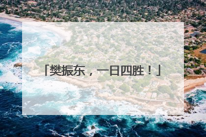 樊振东，一日四胜！
