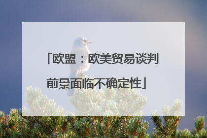 欧盟：欧美贸易谈判前景面临不确定性