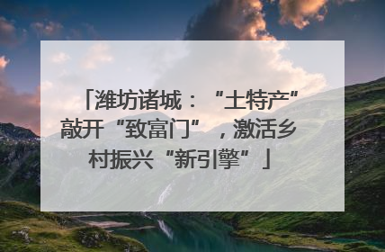 潍坊诸城：“土特产”敲开“致富门”，激活乡村振兴“新引擎”