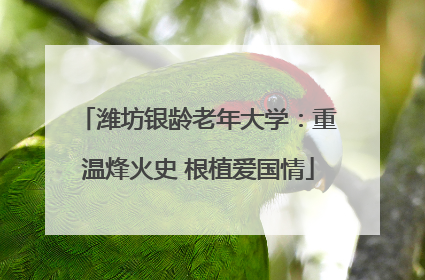 潍坊银龄老年大学：重温烽火史 根植爱国情
