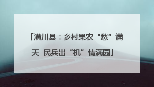 潢川县：乡村果农“愁”满天  民兵出“机”情满园