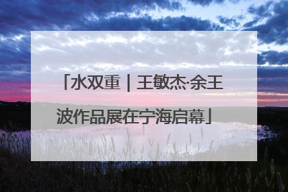 水双重｜王敏杰·余王波作品展在宁海启幕
