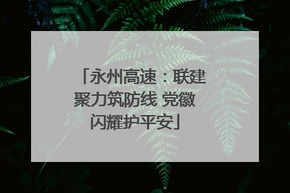永州高速：联建聚力筑防线 党徽闪耀护平安