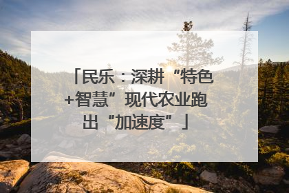 民乐：深耕“特色+智慧”现代农业跑出“加速度”