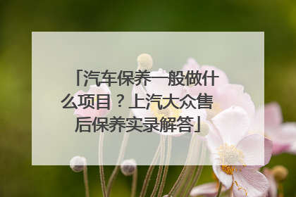 汽车保养一般做什么项目？上汽大众售后保养实录解答