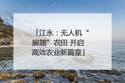 江永：无人机“展翅”农田 开启高效农业新篇章