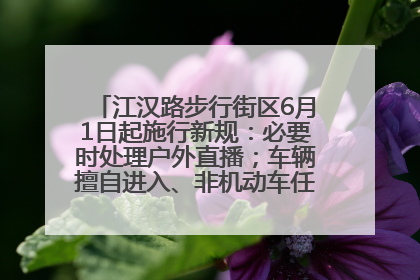 江汉路步行街区6月1日起施行新规：必要时处理户外直播；车辆擅自进入、非机动车任意停放的，依法处理