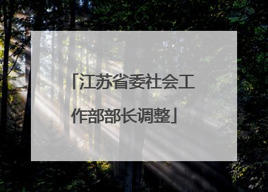 江苏省委社会工作部部长调整