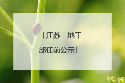江苏一地干部任前公示