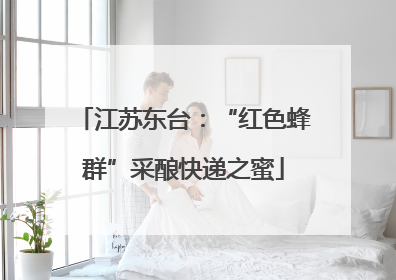 江苏东台：“红色蜂群”采酿快递之蜜