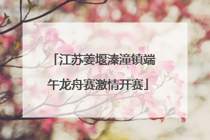 江苏姜堰溱潼镇端午龙舟赛激情开赛