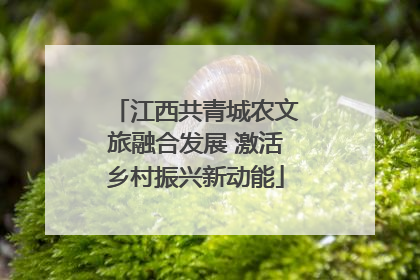 江西共青城农文旅融合发展 激活乡村振兴新动能
