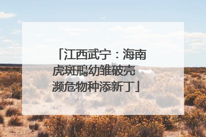 江西武宁：海南虎斑鳽幼雏破壳 濒危物种添新丁