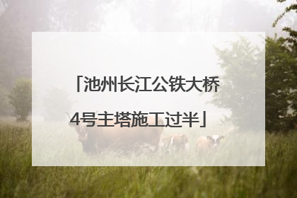 池州长江公铁大桥4号主塔施工过半