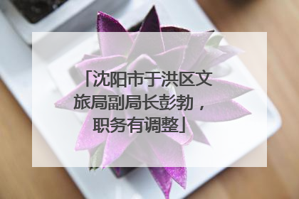 沈阳市于洪区文旅局副局长彭勃，职务有调整
