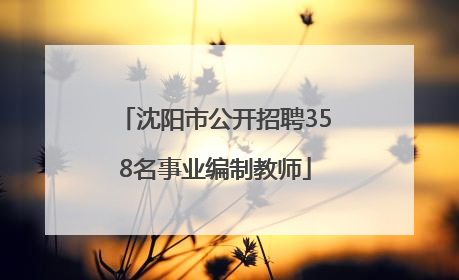 沈阳市公开招聘358名事业编制教师