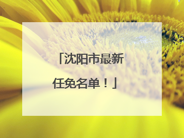 沈阳市最新任免名单！