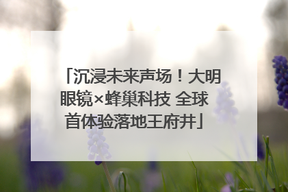 沉浸未来声场！大明眼镜×蜂巢科技 全球首体验落地王府井