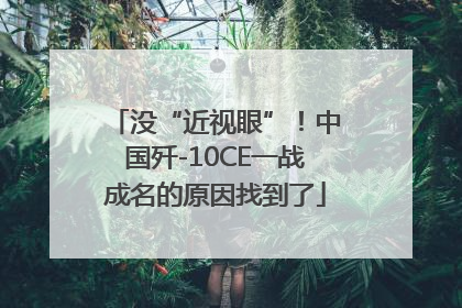 没“近视眼”！中国歼-10CE一战成名的原因找到了