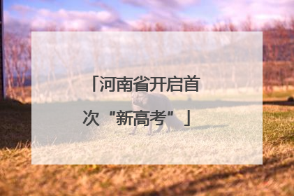 河南省开启首次“新高考”