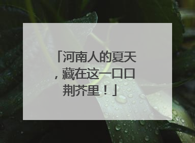 河南人的夏天，藏在这一口口荆芥里！