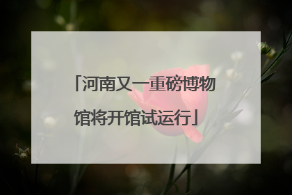 河南又一重磅博物馆将开馆试运行