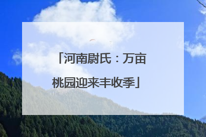 河南尉氏：万亩桃园迎来丰收季