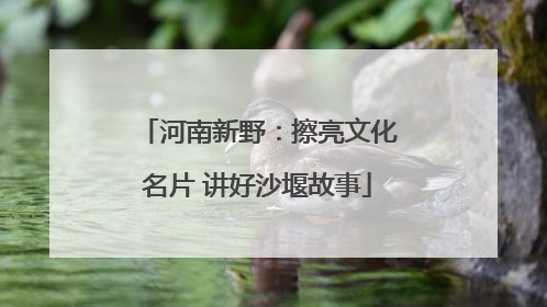 河南新野：擦亮文化名片 讲好沙堰故事