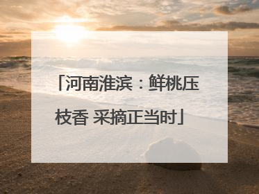 河南淮滨：鲜桃压枝香 采摘正当时