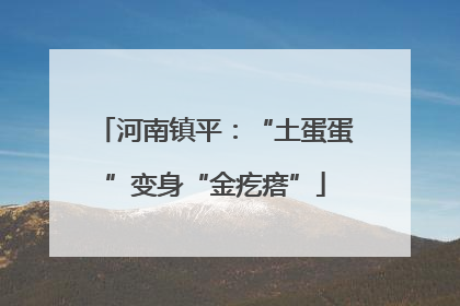 河南镇平：“土蛋蛋”变身“金疙瘩”