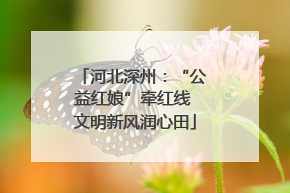 河北深州：“公益红娘”牵红线 文明新风润心田