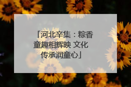 河北辛集：粽香童趣相辉映 文化传承润童心