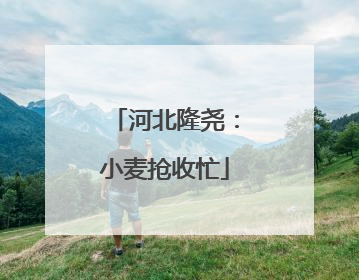 河北隆尧：小麦抢收忙