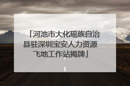 河池市大化瑶族自治县驻深圳宝安人力资源飞地工作站揭牌