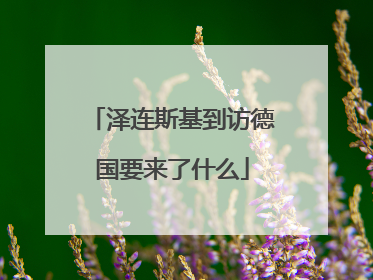 泽连斯基到访德国要来了什么