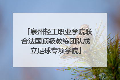 泉州轻工职业学院联合法国顶级教练团队成立足球专项学院